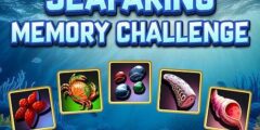 Seafaring Memory  Challenge